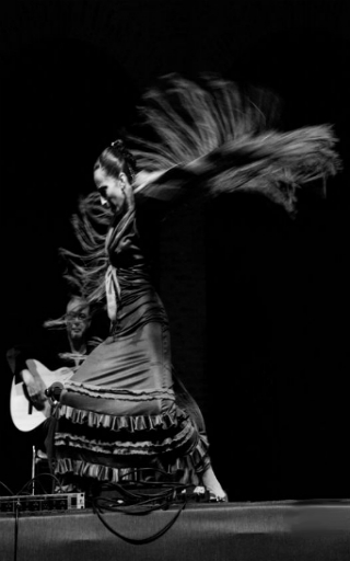 espectáculo flamenco en Valencia