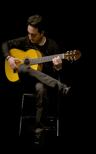 show flamenco Valencia